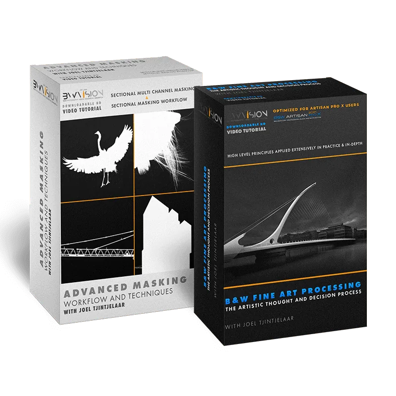 Complete Fine Art Video Bundle