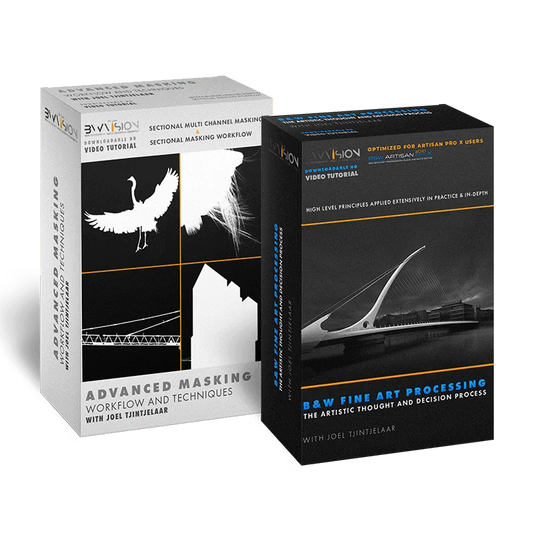 Complete Fine Art Video Bundle